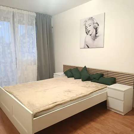 Central Apartment 布拉迪斯拉发